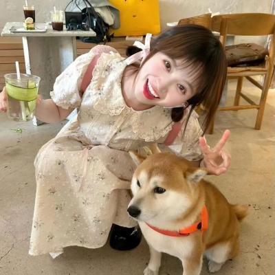 来自未来的访客